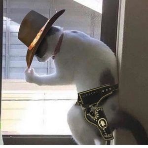 Meet your Posher, Julie